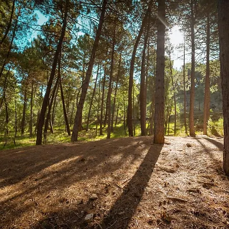 Luxussátor Kampaoh Cazorla